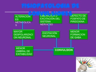 FISIOPATOLOGIA DE
        CONVULSIONES
 ALTERACION     LIBERACION O      DEFECTO DE
 ES             EXCITACIÓN DEL    FOSFATO DE
 METABOLICA     SISTEMA           PIRIDOXINA
 S              NERVIOSO


MAYOR                             MENOR
                 EXCITACIÓN
DESPOLARIZACI                     FORMACION
                 NEURONAL
ON NEURONAL                       DE GABA



 MENOR
 UMBRAL DE                CONVULSION
 EXITABILIDAD
 