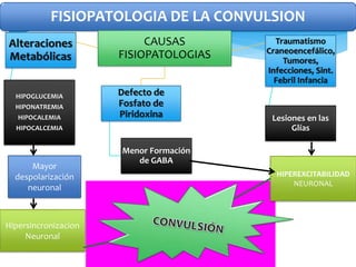 FISIOPATOLOGIA DE LA CONVULSION
CAUSAS
FISIOPATOLOGIAS
Alteraciones
Metabólicas
HIPOGLUCEMIA
HIPONATREMIA
HIPOCALEMIA
HIPOCALCEMIA
Defecto de
Fosfato de
Piridoxina
Menor Formación
de GABA
Traumatismo
Craneoencefálico,
Tumores,
Infecciones, Sint.
Febril Infancia
Lesiones en las
Glías
HIPEREXCITABILIDAD
NEURONAL
Mayor
despolarización
neuronal
Hipersincronizacion
Neuronal
 