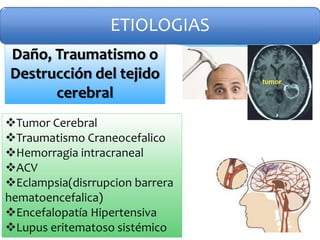Daño, Traumatismo o
Destrucción del tejido
cerebral
Tumor Cerebral
Traumatismo Craneocefalico
Hemorragia intracraneal
ACV
Eclampsia(disrrupcion barrera
hematoencefalica)
Encefalopatía Hipertensiva
Lupus eritematoso sistémico
ETIOLOGIAS
 