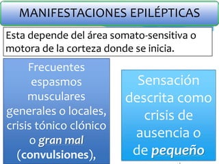 MANIFESTACIONES EPILÉPTICAS
Esta depende del área somato-sensitiva o
motora de la corteza donde se inicia.
Frecuentes
espasmos
musculares
generales o locales,
crisis tónico clónico
o gran mal
(convulsiones),
Sensación
descrita como
crisis de
ausencia o
de pequeño
 