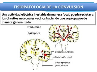 FISIOPATOLOGIA DE LA CONVULSION
Una actividad eléctrica inestable de manera focal, puede reclutar a
los circuitos neuronales vecinos haciendo que se propague de
manera generalizada.
 