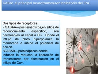 GABA: el principal neurotransmisor inhibitorio del SNC
Dos tipos de receptores
• GABAA—post-sinápticos,en sitios de
reconocimiento específico, son
permeables al canal a CI- . Donde el
influjo de cloro hiperpolariza la
membrana e inhibe el potencial de
accion.
•GABAB—presinápticos,donde
inducen la reducen la liberación de
transmisores por disminucion en el
influjo de Ca+.
 