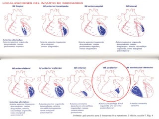 Arritmias: guía practica para le interpretación y tratamiento, 3 edición, sección V, Pág. 4
 