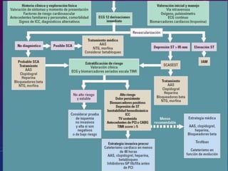 Sindrome coronario agudo sin elevacion segmento st