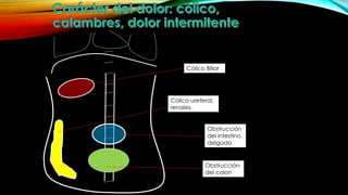 Sindrome de abdomen agudo | PPTX