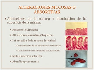 ALTERACIONES MUCOSAS O
ABSORTIVAS
• Alteraciones en la mucosa o disminución de la
superficie de la misma.
• Resección quirúrgica.
• Alteraciones vasculares/Isquemia.
• Inflamación de la mucosa intestinal.
• Aplanamiento de las vellosidades intestinales.
• Disminución en la superficie absortiva total.
• Mala absorción selectiva.
• Abetalipoproteinemia.
 