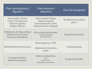 Fase intraluminal o
digestiva
Fase mucosa o
absortiva
Fase de transporte
Pancreatitis crónica.
Cáncer de páncreas.
Fibrosis quistica.
Zolliger-Ellison.
Enfermedad Celiáca.
Esprue tropical.
Enfermedad de Crohn.
Enfermedad de Whipple.
Insuficiencia cardíaca
grave.
Deficiencia de disacaridasa
Deficiencia de lactasa.
Sacarasa-Isomaltasa.
Infecciones intestinales.
Guardia lamblia.
Strongyloides.
Isquemia intestinal.
Sobrepoblación bacteriana.
Enteropatia por VIH.

Síndrome de intestino
corto.
Linfangiectasia.
Cirugía bariatrica.
Resección gástrica.
Defectos absortivos:
B12
Acido folico.
Abetalipoproteinemia.
Neoplasia linfoide.
 