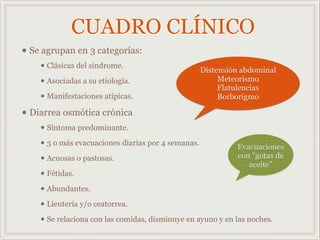 CUADRO CLÍNICO
• Se agrupan en 3 categorías:
• Clásicas del síndrome.
• Asociadas a su etiología.
• Manifestaciones atípicas.
• Diarrea osmótica crónica
• Síntoma predominante.
• 3 o más evacuaciones diarias por 4 semanas.
• Acuosas o pastosas.
• Fétidas.
• Abundantes.
• Lientería y/o ceatorrea.
• Se relaciona con las comidas, disminuye en ayuno y en las noches.
Distensión abdominal
Meteorismo
Flatulencias
Borborigmo
Evacuaciones
con "gotas de
aceite"
 