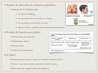 • Examen de absorción de sustratos específicos.
• Deficiencia de Vitamina B12
• Prueba de Schilling.
• Se administra B12 marcada con cobalto.
• Se cuantifica su excreción en orina.
• Mayor a 8% se confirma Dx de mala absorción de B12.
• Pruebas de función pancreática.
• Estimulación con secretina.
• Tripsinógeno sérico.
• Elastasa fecal.
• Prueba de Pancreolauril.
• D-xilosa.
• Se administran 25 gr vía oral y se recolecta orina de 5 horas.
• Menor a 5 g/5 horas indica trastorno a nivel mucoso.
• Cifras normales sugieren afección digestiva.
 