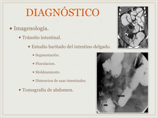 DIAGNÓSTICO
• Imagenología.
• Tránsito intestinal.
• Estudio baritado del intestino delgado.
• Segmentación.
• Floculacion.
• Moldeamiento.
• Distencion de asas intestinales.
• Tomografía de abdomen.
 