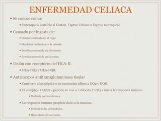 ENFERMEDAD CELIACA
• Se conoce como:
• Enteropatía sensible al Gluten, Esprue Celiaco o Esprue no tropical.
• Causado por ingesta de:
• Gluten contenido en el trigo.
• Hordeína contenida en la cebada.
• Secalina contenida en el centeno.
• Avenina contenida en la avena.
• Unión con receptores del HLA-II.
• HLA-DQ2 y HLA-DQ8.
• Anticuerpos antitransglutaminasa tisular
• Convierte a los péptidos en sustancias afines a DQ2 y DQ8.
• El complejo DQ2/8 - péptido se une a Linfocito T CD4 e inicia la respuesta inmune.
• Mediada por interferon-y
• La respuesta inmune propicia daño a la mucosa.
• Perdida de las vellosidades.
• Hiperplasia de las criptas.
 