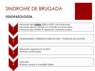 SINDROME DE BRUGADA
FISIOPATOLOGÍA
1
•Mutación gen SCN5A (25%) y GPD1-L Canal sodio
•Mutación genes CACNA1c Y CACNB2  canal calcio
•Mutación gen KCNE3  regulación corrientes potasio
2
•DESEQUILIBRIO CORRIENTES IÓNICAS FASE 1 POTENCIAL DE ACCIÓN
3
•Elevación segmento ST en ECG
•Arritmias ventriculares
4
•SÍNCOPE
•Parada cardiaca  MUERTE SÚBITA
 