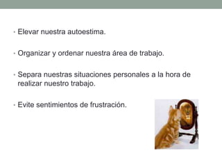 • Elevar nuestra autoestima.
• Organizar y ordenar nuestra área de trabajo.
• Separa nuestras situaciones personales a la hora de
realizar nuestro trabajo.
• Evite sentimientos de frustración.
 