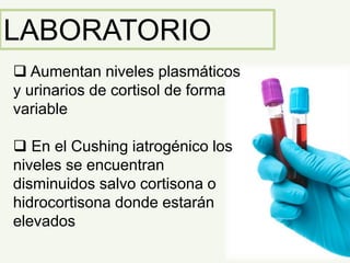 LABORATORIO
 Aumentan niveles plasmáticos
y urinarios de cortisol de forma
variable
 En el Cushing iatrogénico los
niveles se encuentran
disminuidos salvo cortisona o
hidrocortisona donde estarán
elevados
 