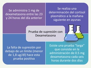Se administra 1 mg de
dexametasona entre las 23
y 24 horas del día anterior
Se realiza una
determinación del cortisol
plasmático a la mañana
siguiente en ayunas
La falta de supresión por
debajo de un límite (menor
de 1,8 ug/dl) hace esta
prueba positiva
Existe una prueba “larga”
que consiste en la
administración de 0.5 mg
dexametasona cada seis
horas durante dos días
Prueba de supresión con
Dexametasona
 