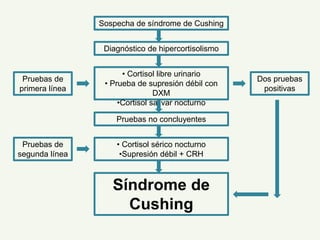 Sospecha de síndrome de Cushing
Diagnóstico de hipercortisolismo
• Cortisol libre urinario
• Prueba de supresión débil con
DXM
•Cortisol salivar nocturno
Pruebas no concluyentes
• Cortisol sérico nocturno
•Supresión débil + CRH
Síndrome de
Cushing
Pruebas de
primera línea
Pruebas de
segunda línea
Dos pruebas
positivas
 