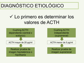DIAGNÓSTICO ETIOLÓGICO
 Lo primero es determinar los
valores de ACTH
Cushing ACTH
dependiente (central o
ectópico)
Cushing ACTH
independiente
(suprarrenal)
ACTH menor de 5 pg/mlACTH mayor de 20 pg/ml
Realizar prueba de
imagen suprarrenal
Realizar prueba de
imagen hipotalámica o
hipofisaria
 