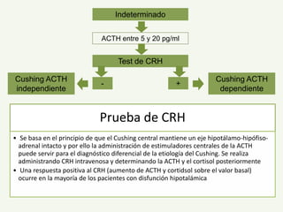 Cushing ACTH
independiente
Indeterminado
ACTH entre 5 y 20 pg/ml
Test de CRH
- +
Cushing ACTH
dependiente
Prueba de CRH
• Se basa en el principio de que el Cushing central mantiene un eje hipotálamo-hipófiso-
adrenal intacto y por ello la administración de estimuladores centrales de la ACTH
puede servir para el diagnóstico diferencial de la etiología del Cushing. Se realiza
administrando CRH intravenosa y determinando la ACTH y el cortisol posteriormente
• Una respuesta positiva al CRH (aumento de ACTH y cortidsol sobre el valor basal)
ocurre en la mayoría de los pacientes con disfunción hipotalámica
 