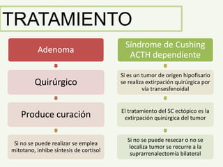 TRATAMIENTO
Adenoma
Quirúrgico
Produce curación
Si no se puede realizar se emplea
mitotano, inhibe síntesis de cortisol
Síndrome de Cushing
ACTH dependiente
Si es un tumor de origen hipofisario
se realiza extirpación quirúrgica por
vía transesfenoidal
El tratamiento del SC ectópico es la
extirpación quirúrgica del tumor
Si no se puede resecar o no se
localiza tumor se recurre a la
suprarrenalectomía bilateral
 