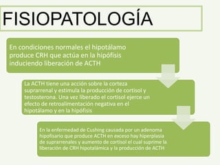 FISIOPATOLOGÍA
En condiciones normales el hipotálamo
produce CRH que actúa en la hipófisis
induciendo liberación de ACTH
La ACTH tiene una acción sobre la corteza
suprarrenal y estimula la producción de cortisol y
testosterona. Una vez liberado el cortisol ejerce un
efecto de retroalimentación negativa en el
hipotálamo y en la hipófisis
En la enfermedad de Cushing causada por un adenoma
hipofisario que produce ACTH en exceso hay hiperplasia
de suprarrenales y aumento de cortisol el cual suprime la
liberación de CRH hipotalámica y la producción de ACTH
 