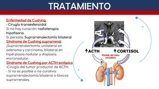 Comprehensive Overview of Cushing Syndrome: Diagnosis and Treatment in ...