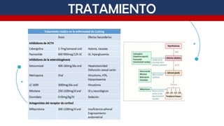 Comprehensive Overview of Cushing Syndrome: Diagnosis and Treatment in ...