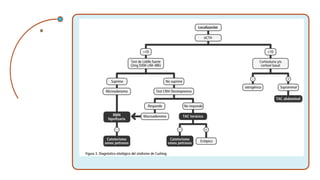 Comprehensive Overview of Cushing Syndrome: Diagnosis and Treatment in ...