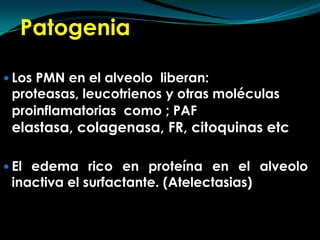 PatogeniaLos PMN en el alveolo  liberan: proteasas, leucotrienos y otras moléculas proinflamatorias  como ; PAFelastasa, colagenasa, FR, citoquinasetcEl edema rico en proteína en el alveolo inactiva el surfactante. (Atelectasias)