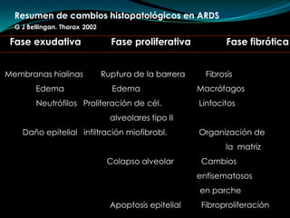 Resumen de cambios histopatológicos en ARDSG J Bellingan. Thorax2002Fase exudativa         Fase proliferativaFase fibróticaMembranas hialinas        Ruptura de la barrera     	    FibrosisEdema       Edema                    	MacrófagosNeutrófilos   Proliferación de cél. 		 Linfocitosalveolares tipo IIDaño epitelial   infiltración miofibrobl.      Organización de 	la  matriz      Colapso alveolar     	  Cambios 									enfisematososen parcheApoptosis epitelial 	  Fibroproliferación