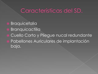 Características del SD.BraquicefaliaBranquicactiliaCuello Corto y Pliegue nucal redundantePabellones Auriculares de implantación baja.