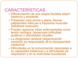 INTERVENCIÓN EN LA ESCUELA