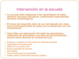 NECESIDADES EDUCATIVAS ESPECIALES