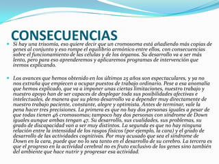 CONSECUENCIAS
 Si hay una trisomía, eso quiere decir que un cromosoma está añadiendo más copias de
  genes al conjunto y eso rompe el equilibrio armónico entre ellos, con consecuencias
  sobre el funcionamiento de las células y de los órganos. Su desarrollo va a ser más
  lento, pero para eso aprenderemos y aplicaremos programas de intervención que
  iremos explicando.

 Los avances que hemos obtenido en los últimos 25 años son espectaculares, y ya no
  nos extraña que empiecen a ocupar puestos de trabajo ordinario. Pese a esa anomalía
  que hemos explicado, que va a imponer unas ciertas limitaciones, nuestro trabajo y
  nuestro apoyo han de ser capaces de desplegar toda sus posibilidades afectivas e
  intelectuales, de manera que su pleno desarrollo va a depender muy directamente de
  nuestro trabajo paciente, constante, alegre y optimista. Antes de terminar, vale la
  pena hacer tres precisiones. La primera es que no hay dos personas iguales a pesar de
  que todas tienen 46 cromosomas; tampoco hay dos personas con síndrome de Down
  iguales aunque ambas tengan 47. Su desarrollo, sus cualidades, sus problemas, su
  grado de discapacidad van a ser muy distintos. La segunda es que no hay ninguna
  relación entre la intensidad de los rasgos físicos (por ejemplo, la cara) y el grado de
  desarrollo de las actividades cognitivas. Por muy acusado que sea el síndrome de
  Down en la cara, puede que no lo sea tanto en el desarrollo de su cerebro. La tercera es
  que el progreso en la actividad cerebral no es fruto exclusivo de los genes sino también
  del ambiente que hace nutrir y progresar esa actividad.
 