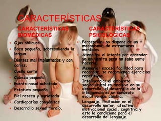 CARACTERÍSTICAS
    CARACTERÍSTICAS                       CARACTERÍSTICAS
    BIOMÉDICAS                            PSICOLÓGICAS
 Ojos oblicuos                     Percepción: no dispone de un
                                       mecanismo, de estructuras
 Boca pequeña, sobresaliendo la       mentales.
  lengua.                             Atención: el interés por aprender
 Dientes mal implantados y con        se encuentra pero no sabe como
                                       hacerlo.
  caries.
                                      Memoria: escasa facilidad para
 Cuello corto                         recordar, se recomienda ejercicios
 Cabeza pequeña                       repetitivos.
                                      Inteligencia: el ambiente
 Puente nasal achatado                sociocultural es decisivo en su
 Estatura pequeña                     desarrollo, el desarrollo de la
                                       inteligencia es un concepto
 Piel reseca y agrietada              evolutivo que cambia.
 Cardiopatías congénitas             Lenguaje: limitación en el
                                       desarrollo motor, afectiva
 Desarrollo sexual tardío.            motivacional social, cognitiva y
                                       esto le condiciona para el
                                       desarrollo del lenguaje.
 