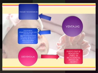 DESVENTAJA
PUESTO QUE SE
REALIZA EN
UTERO, SE
RELACIONA EL
RIESGO DE
ABORTO
VENTAJAS
Las pruebas
diagnósticas tienen una
precisión de
aproximadamente el
99% para detectar el
síndrome de Down y
otras anomalías
cromosómicas
FACILES Y ECONOMICAS
 