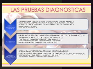 MUESTREO DE
VELLLOSIDADES
CORIONICAS
•EXTRAER UNA VELLOSIDADES CORIONICAS QUE SE ANALIZA
•SE PUEDE PRATICAR EN EL PIRMER TRIMESTRE DE EMBARAZO
•RIESGO DE ABORTO
AMNIOCENTESIS
•PRUEBA QUE SE REALIZA ENTRE LAS SEMANAS 15 Y 20 DE EMBARAZO, SE
EXTRE UNA CANTIDAD DE LIQUIDO AMNIOTICO.
•LAS CELULAS FETALES EXTRAIDAS SE ANALIZAN
•RIESGO DE PARTO PREMATURO O ABORTO
MUESTREO
PERCUTENEO DE
SANGRE UMBILICAL
•SE REALIZA APARTIR DE LA SEMANA 18 DE EMBARAZO.
•SE EXTRAE UNA PEQUEÑA MUESTRA DE SANGRE DE CORDON UMBILICAL
•RIESGO DE PARTO PREMATURO O ABORTO.
 
