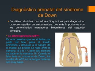 Diagnóstico prenatal del síndrome
de Down
 Se utilizan distintos marcadores bioquímicos para diagnosticar
cromosomopatías en embarazadas. Los más importantes son
los denominados marcadores bioquímicos del segundo
trimestre.
 La alfafetoproteína (AFP)
Es una proteína que se sintetiza por
parte del feto, pasa al líquido
amniótico y después a la sangre de
la madre. La prueba se hace entre la
semana 15 y la 17, pero casi siempre
se hace en la semana 16. Cuando el
feto tiene un síndrome de Down, los
niveles de AFP en la sangre materna
son muy bajos.
 