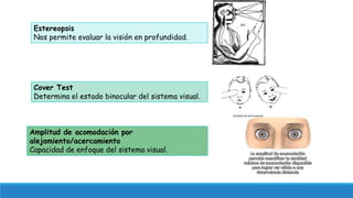 Estereopsis 
Nos permite evaluar la visión en profundidad. 
Cover Test 
Determina el estado binocular del sistema visual. ...