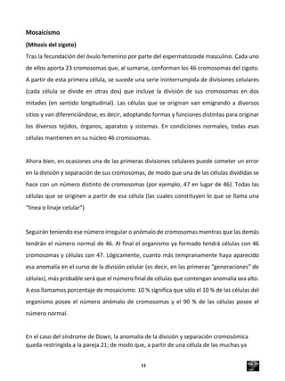 Mosaicismo
(Mitosis del zigoto)
Tras la fecundación del óvulo femenino por parte del espermatozoide masculino. Cada uno
de ellos aporta 23 cromosomas que, al sumarse, conforman los 46 cromosomas del zigoto.
A partir de esta primera célula, se sucede una serie ininterrumpida de divisiones celulares
(cada célula se divide en otras dos) que incluye la división de sus cromosomas en dos
mitades (en sentido longitudinal). Las células que se originan van emigrando a diversos
sitios y van diferenciándose, es decir, adoptando formas y funciones distintas para originar
los diversos tejidos, órganos, aparatos y sistemas. En condiciones normales, todas esas
células mantienen en su núcleo 46 cromosomas.
Ahora bien, en ocasiones una de las primeras divisiones celulares puede cometer un error
en la división y separación de sus cromosomas, de modo que una de las células divididas se
hace con un número distinto de cromosomas (por ejemplo, 47 en lugar de 46). Todas las
células que se originen a partir de esa célula (las cuales constituyen lo que se llama una
“línea o linaje celular”)
Seguirán teniendo ese número irregular o anómalo de cromosomas mientras que las demás
tendrán el número normal de 46. Al final el organismo ya formado tendrá células con 46
cromosomas y células con 47. Lógicamente, cuanto más tempranamente haya aparecido
esa anomalía en el curso de la división celular (es decir, en las primeras “generaciones” de
células), más probable será que el número final de células que contengan anomalía sea alto.
A eso llamamos porcentaje de mosaicismo: 10 % significa que sólo el 10 % de las células del
organismo posee el número anómalo de cromosomas y el 90 % de las células posee el
número normal.
En el caso del síndrome de Down, la anomalía de la división y separación cromosómica
queda restringida a la pareja 21; de modo que, a partir de una célula de las muchas ya
11
 
