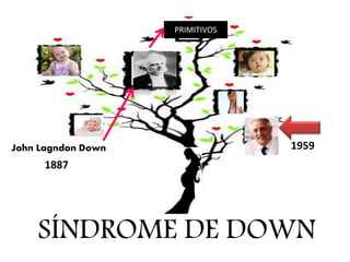 SÍNDROME DE DOWN
John Lagndon Down
1887
PRIMITIVOS
1959
 