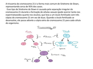 A trissomia do cromossomo 21 é a forma mais comum de Síndrome de Down,
representando cerca de 95% dos casos.
Esse tipo de Síndrome de Down é causada pela separação irregular do
cromossomo 21 durante a formação de células sexuais (pode ocorrer tanto nos
espermatozoides quanto nos óvulos), que leva a um óvulo fertilizado com três
cópias do cromossomo 21 em vez de duas. Quando o óvulo fertilizado se
desenvolve, ele passa adiante a cópia extra do cromossomo 21 para cada célula
do organismo.
 