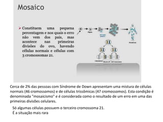Cerca de 2% das pessoas com Síndrome de Down apresentam uma mistura de células
normais (46 cromossomos) e de células trissômicas (47 cromossomos). Esta condição é
denominada "mosaicismo" e é considerada como o resultado de um erro em uma das
primeiras divisões celulares.
Só algumas células possuem o terceiro cromossoma 21.
É a situação mais rara
 