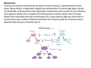 Mosaicismo
A forma em mosaico da Síndrome de Down é menos comum, representando 1% dos
casos. Nessa forma, a separação irregular do cromossomo 21 ocorre logo após o óvulo
ser fertilizado. O tempo dessa não-disjunção é importante, pois resulta em um indivíduo
com algumas células com os típicos 46 cromossomos e outras células com 47 (essas
células têm uma cópia extra do cromossomo 21). Já que apenas algumas células têm o
cromossomo extra, então a Síndrome de Down em mosaico pode ter sintomas menos
proeminentes do que a trissomia do 21.
 
