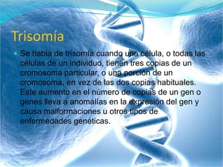 Trisomía
 Se habla de trisomía cuando una célula, o todas las
células de un individuo, tienen tres copias de un
cromosoma particular, o una porción de un
cromosoma, en vez de las dos copias habituales.
Este aumento en el número de copias de un gen o
genes lleva a anomalías en la expresión del gen y
causa malformaciones u otros tipos de
enfermedades genéticas.
 