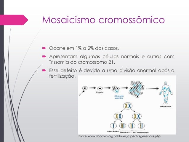 Máscaras em volta de olhos de um aloés