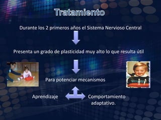 TratamientoProgramas de Atención TempranaOrientados a la estimulación precoz del sistema nervioso centralDurante los seis primeros años de vida