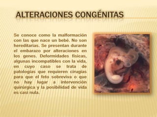 Alteraciones congénitasSe conoce como la malformación con las que nace un bebé. No son hereditarias. Se presentan durante el embarazo por alteraciones en los genes. Deformidades físicas, algunas incompatibles con la vida, en cuyo caso se trata de patologías que requieren cirugías para que el feto sobreviva o que no hay lugar a intervención quirúrgica y la posibilidad de vida es casi nula.