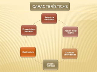 CARACTERÍSTICAS
