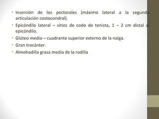 • Inserción de los pectorales (máximo lateral a la segunda
articulación costocondral).
• Epicóndilo lateral – sitios de codo de tenista, 1 – 2 cm distal al
epicóndilo.
• Glúteo medio – cuadrante superior externo de la nalga.
• Gran trocánter.
• Almohadilla grasa media de la rodilla
 