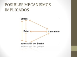 POSIBLES MECANISMOS
IMPLICADOS
 